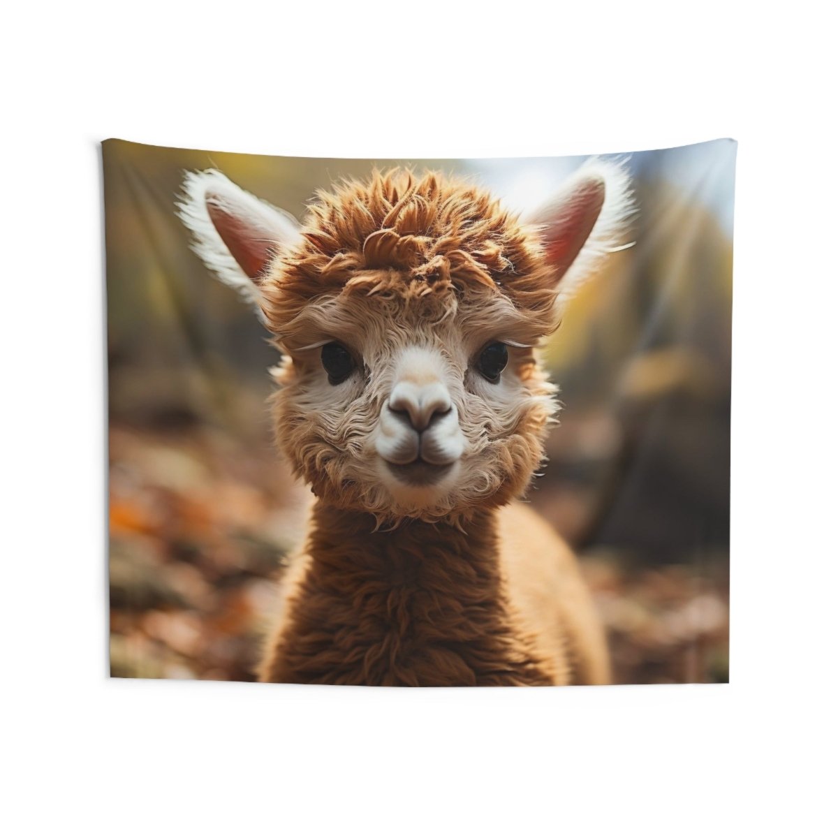 Bouille d’Alpaga - Art Cocoon