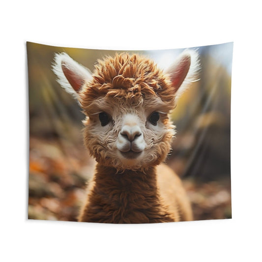 Bouille d’Alpaga - Art Cocoon
