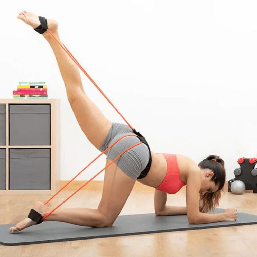 ÉlastiFit Pro - Art Cocoon