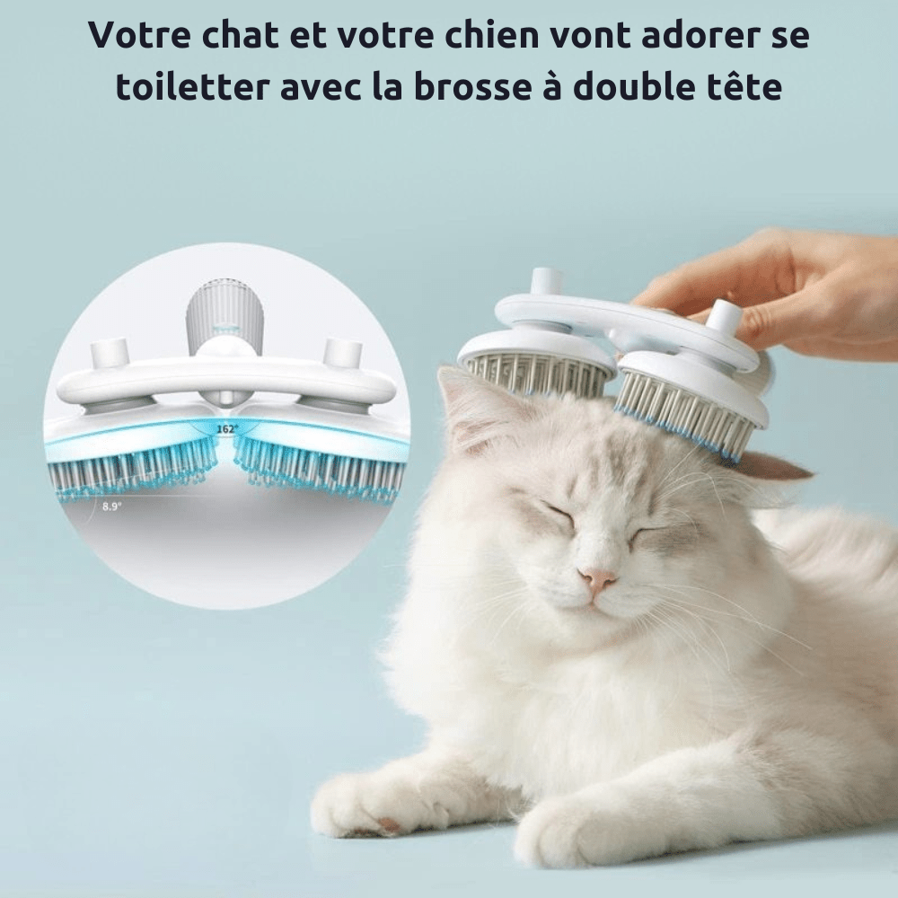FurClean - Art Cocoon