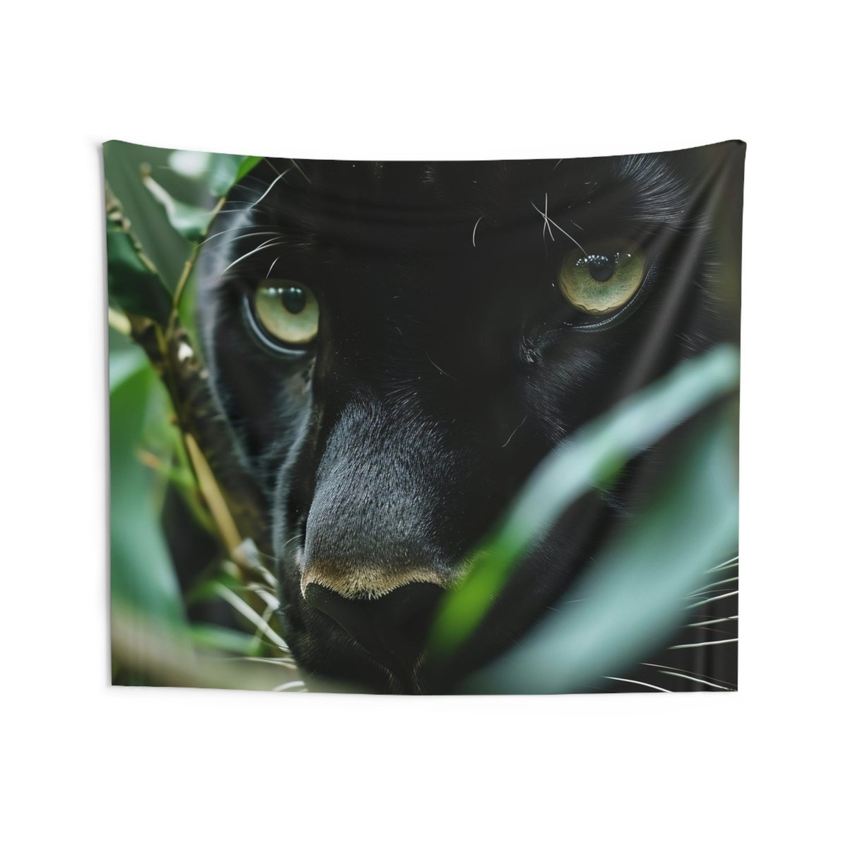 Regard de Panthère - Art Cocoon