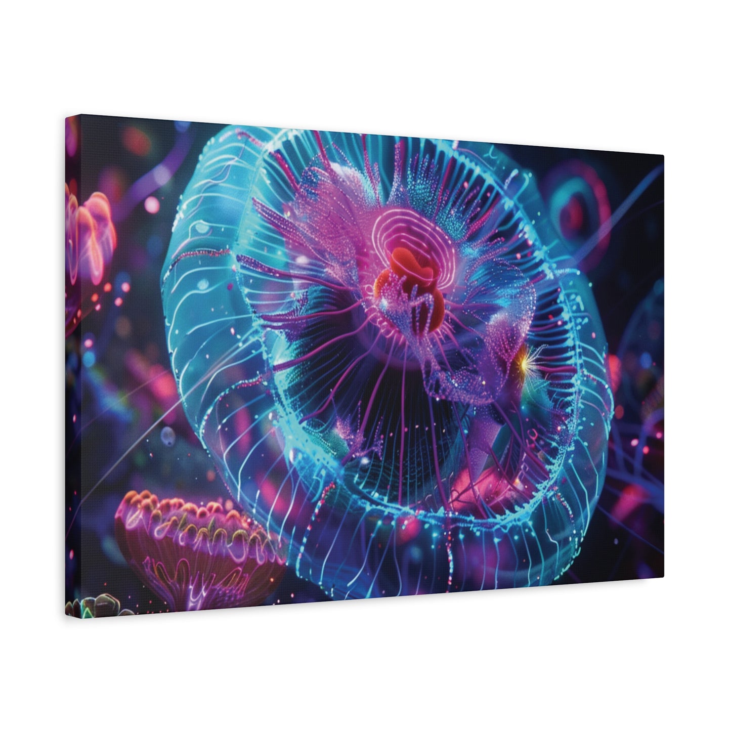 👉Lumi Fosfo : magnifique cadre 💎effet apaisant💎 garanti