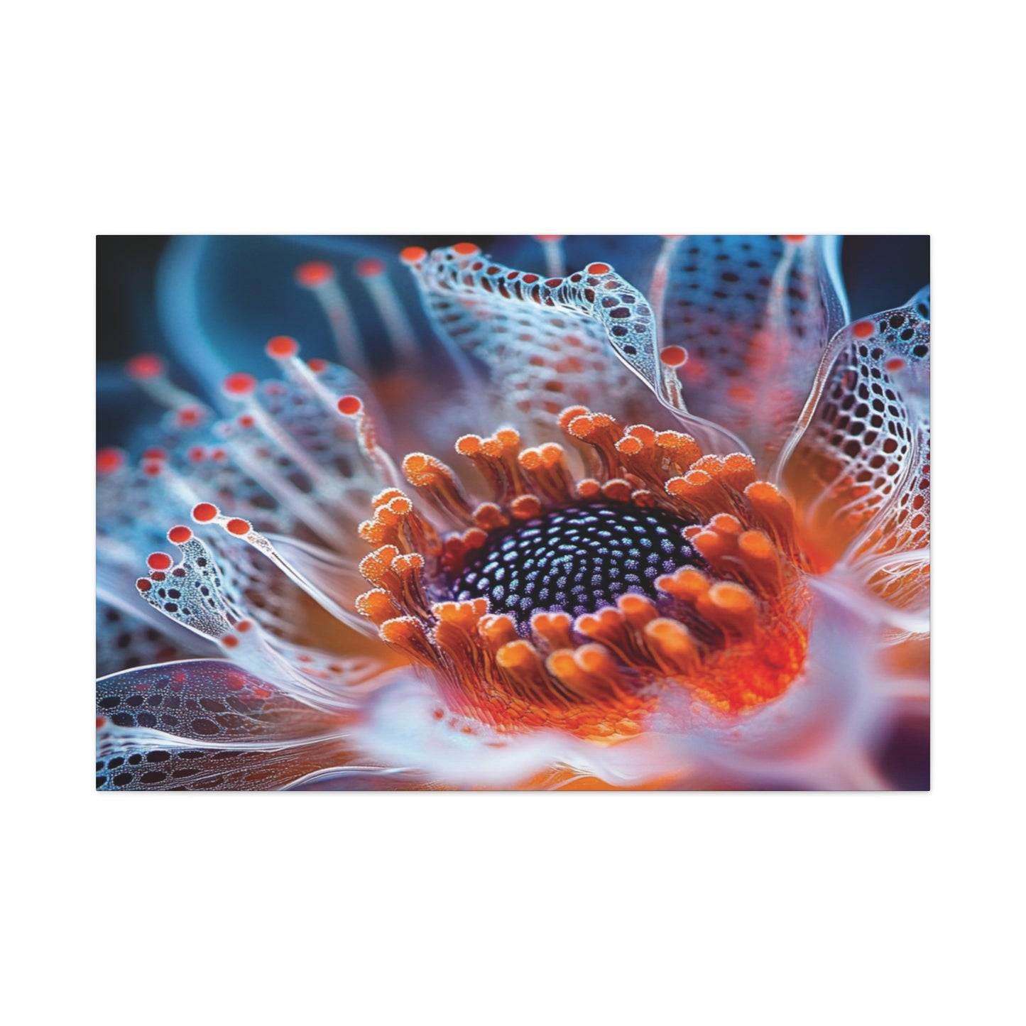 👉Orange'Heart : magnifique cadre 💎effet apaisant💎 garanti