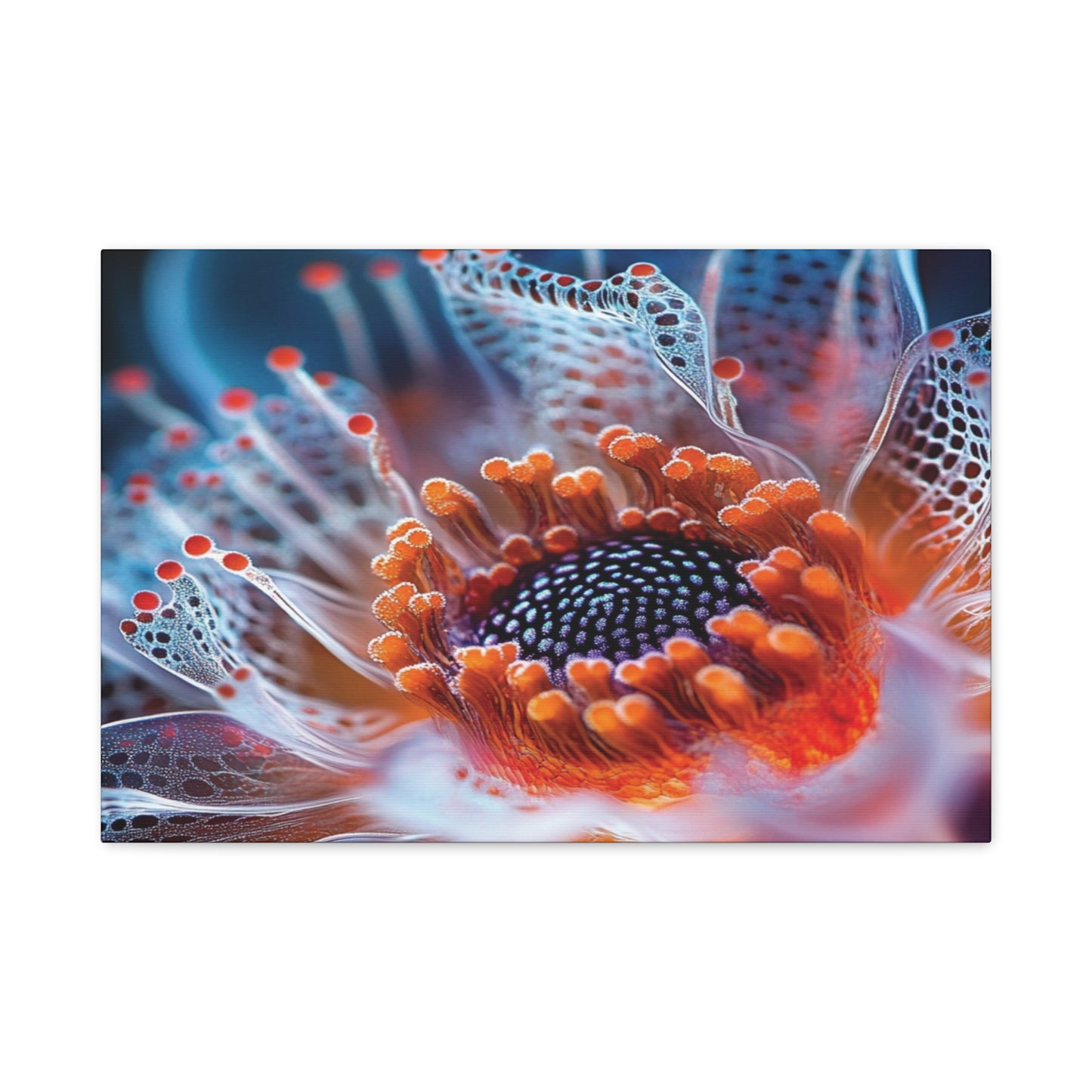 👉Orange'Heart : magnifique cadre 💎effet apaisant💎 garanti