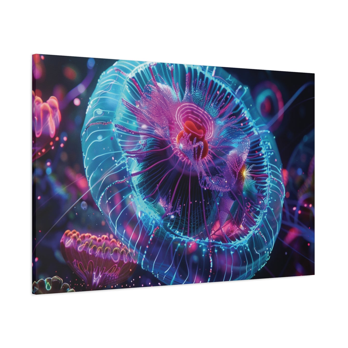 👉Lumi Fosfo : magnifique cadre 💎effet apaisant💎 garanti